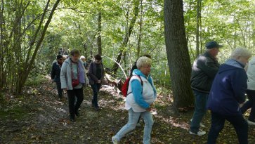 Wycieczka W krainie Borowej Ciotki