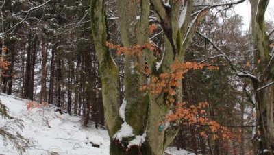 Wycieczka „Doliną rzeki Kulawy”