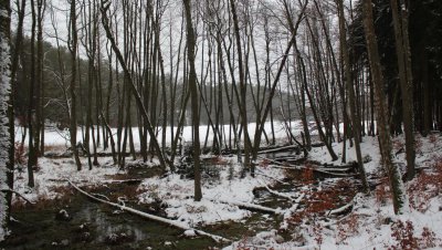 Wycieczka „Doliną rzeki Kulawy”