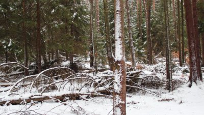 Wycieczka „Doliną rzeki Kulawy”