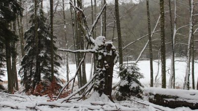 Wycieczka „Doliną rzeki Kulawy”